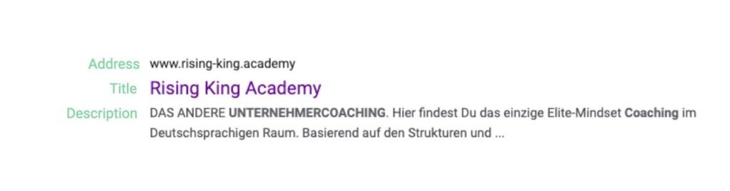 Google's Search Result for Rising King Academy